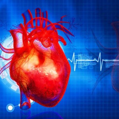 N82693895-71923349-700×530-1