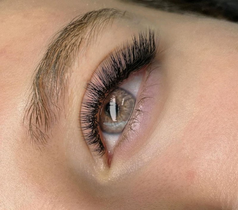 ۷f010705-f27a-4098-a648-9d61d446f50f