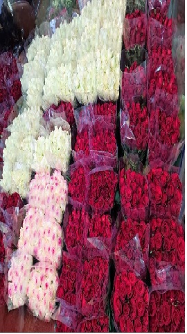 WhatsApp-Image-2024-01-14-at-21.57.38