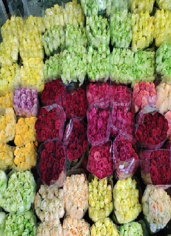 WhatsApp-Image-2024-01-14-at-21.57.34-1