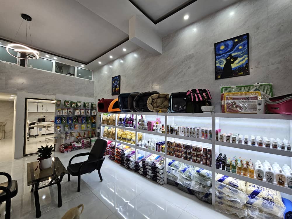 0a9c5d11-2e8d-4803-9805-f38233d5004a