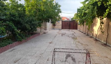 WhatsApp-Image-2024-09-25-at-10.16.48-2-1