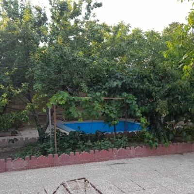 WhatsApp-Image-2024-09-25-at-10.16.48-3-1