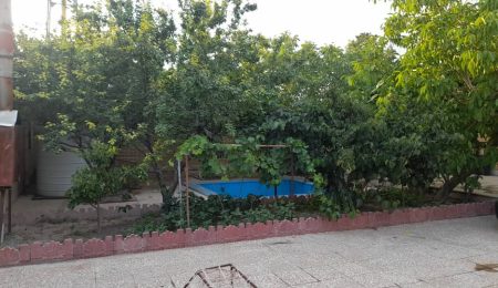 WhatsApp-Image-2024-09-25-at-10.16.48-3-1