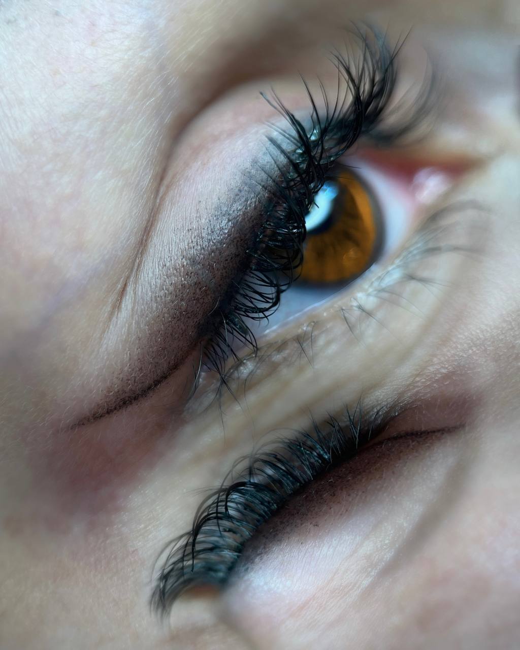 WhatsApp-Image-2024-10-01-at-11.39.17-AM