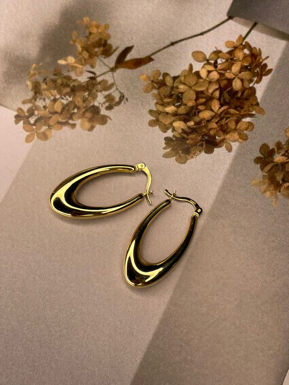 WhatsApp-Image-2024-10-09-at-4.51.30-PM-2