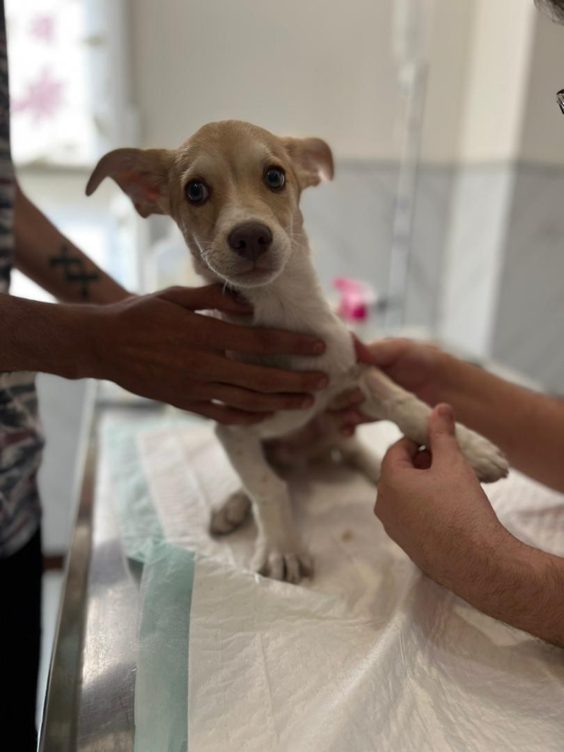 WhatsApp-Image-2024-10-12-at-23.35.29