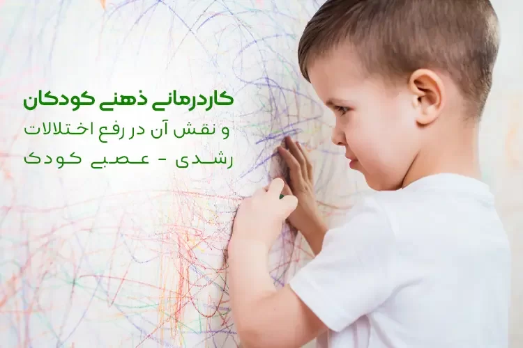 image_750x_64be3076ec6759-58067646-24999119