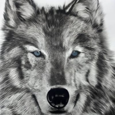 WhatsApp-Image-2024-11-10-at-4.07.45-PM