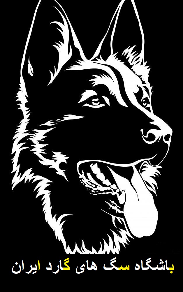 nody-عکس-سگ-پشمالو-سیاه-و-سفید-۱۶۳۱۵۷۵۱۰۵