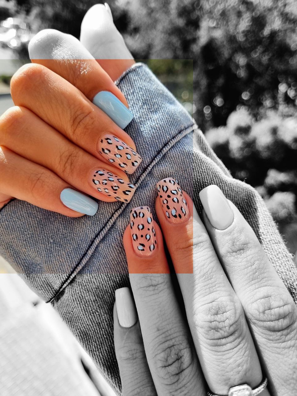 photo_2024-11-26_10-31-38