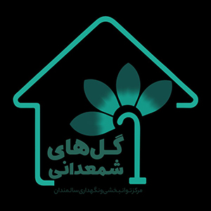 لوگو-۳۰۰-۳۰۰