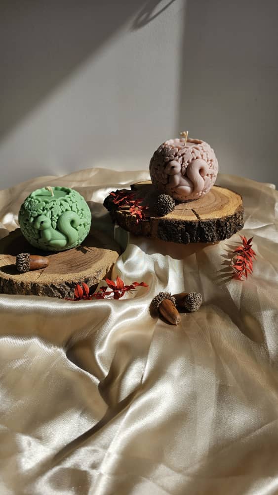 WhatsApp-Image-2024-11-21-at-16.14.21