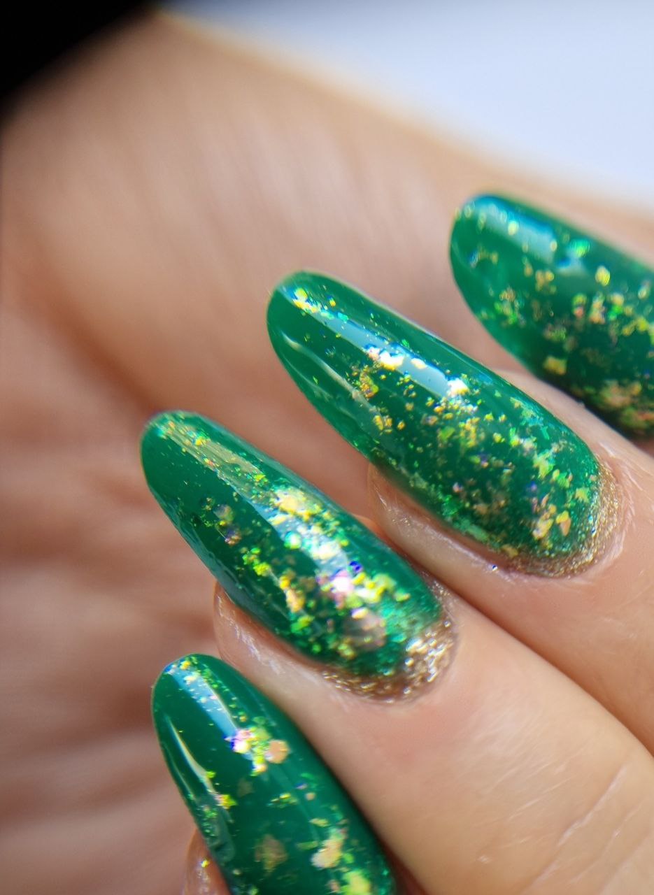 photo_2024-11-26_10-24-21