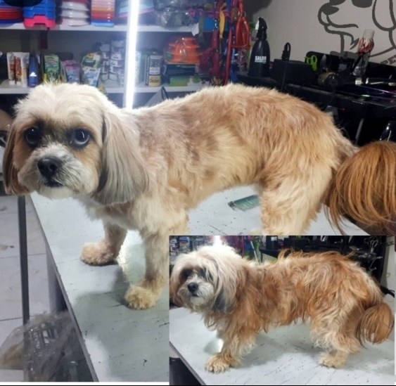 ۲۰۲۵-۰۱-۲۷_at_15.33.53.898