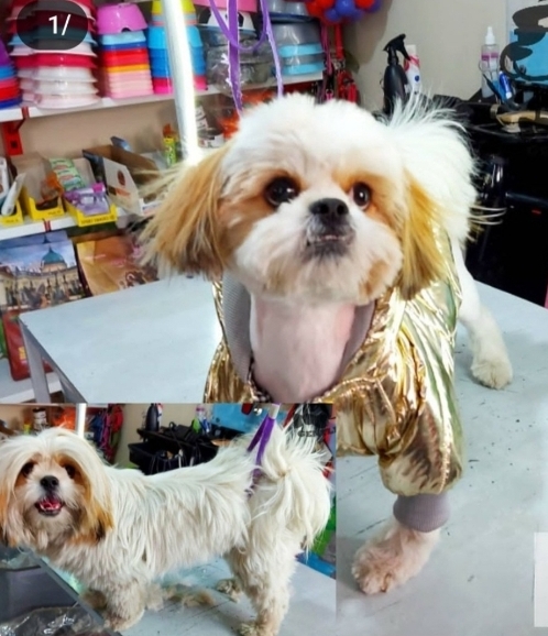 ۲۰۲۵-۰۱-۲۷_at_15.34.10.223