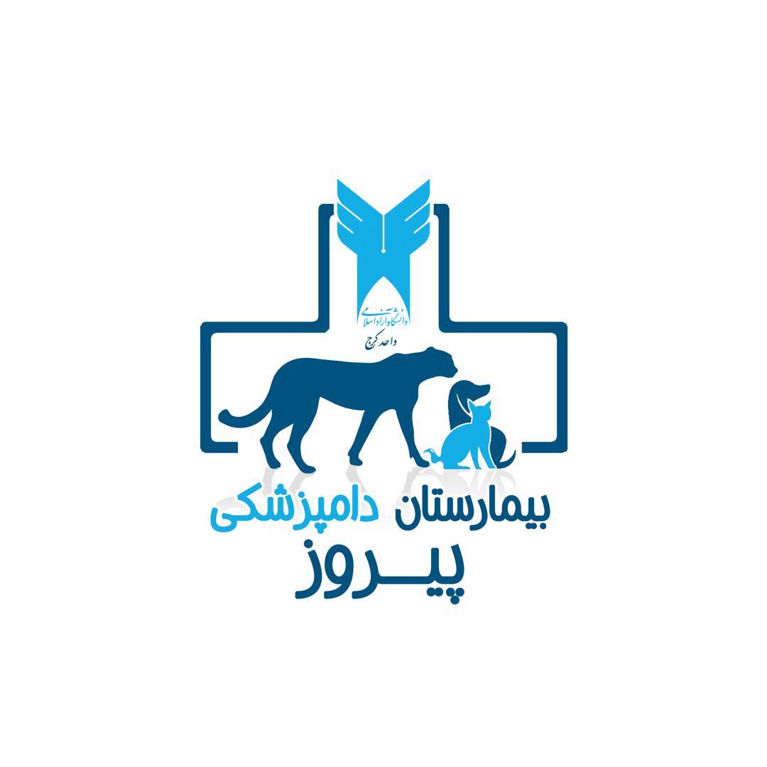 WhatsApp-Image-2024-07-09-at-10.56.16