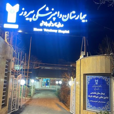 WhatsApp-Image-2025-02-09-at-12.47.51