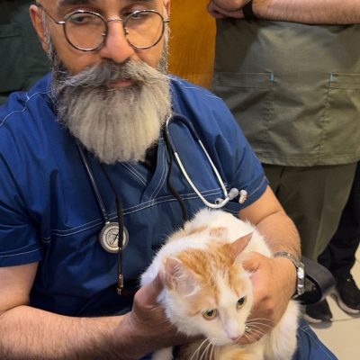 WhatsApp-Image-2025-02-09-at-12.47.52