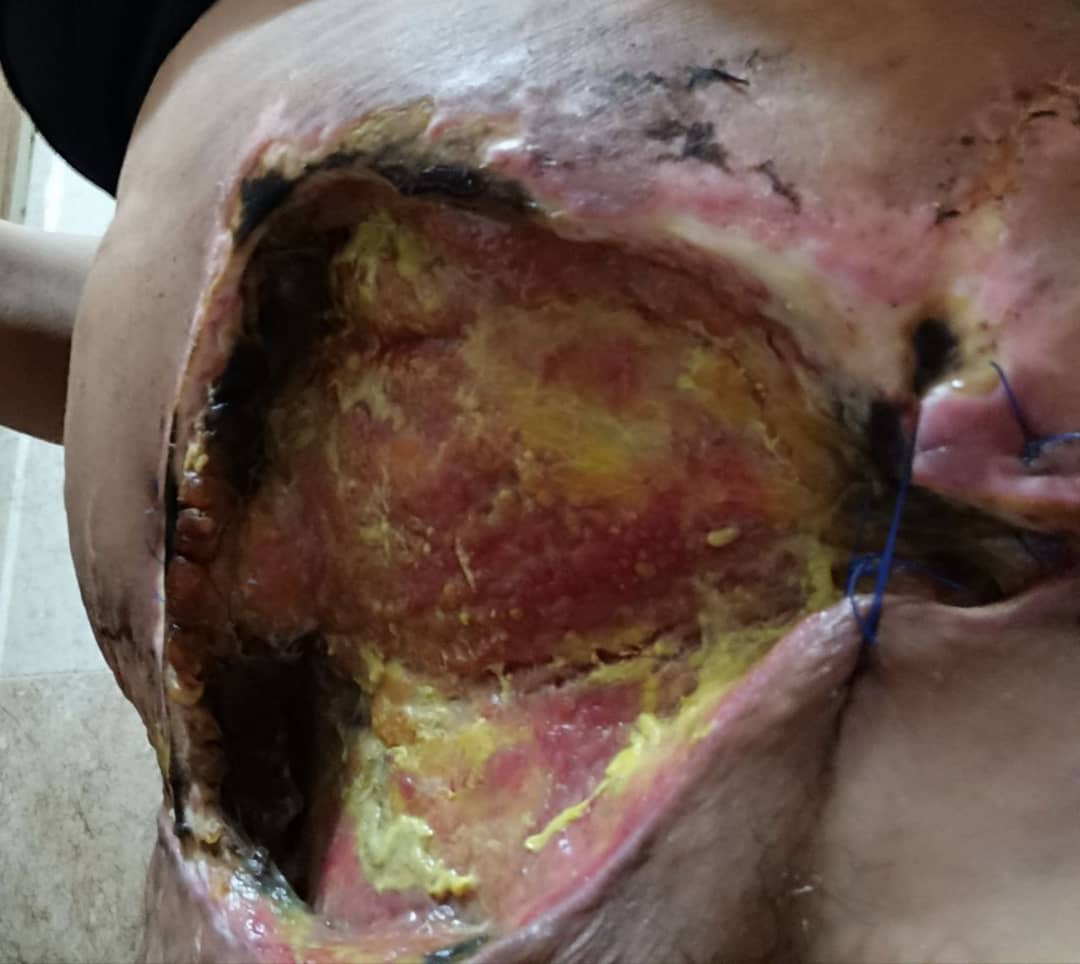 WhatsApp-Image-2025-03-09-at-10.02.10-AM