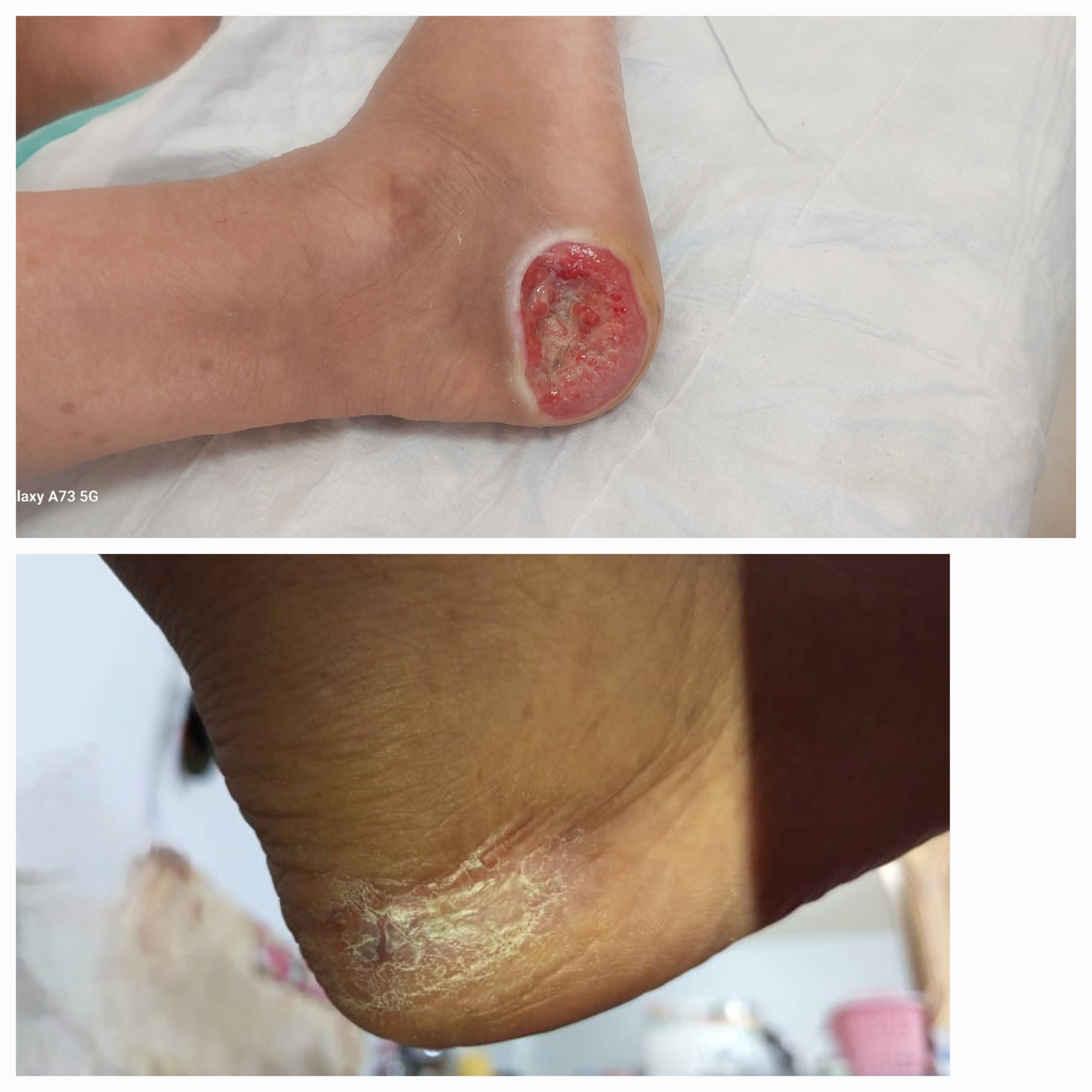 ۱۰۰۰۰۹۶۷۳۷