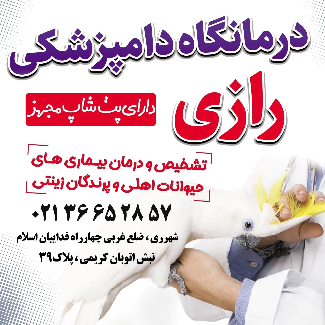 ۴۴۰۶۳۱۵۱۶_۱۸۲۳۴۰۸۳۷۴۸۳۹۵۷۰_۴۵۶۶۷۱۶۲۸۵۷۶۵۵۱۹۳۳۵_n