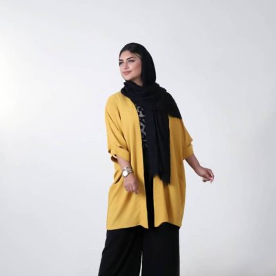 ۶۱۷d29cd-ffb7-4353-826e-8bd85ba33c10