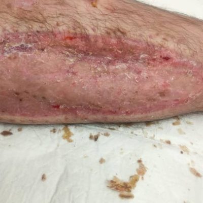 WhatsApp-Image-2025-03-08-at-10.30.42-AM-1