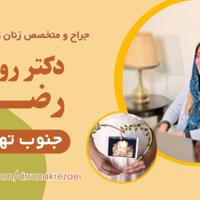 Beige-Brown-Grey-Labrador-Pets-Collection-YouTube-Thumbnail-6