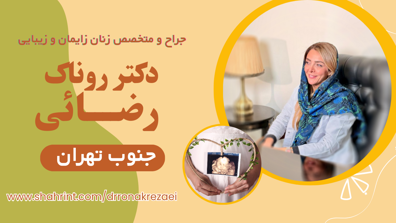 Beige-Brown-Grey-Labrador-Pets-Collection-YouTube-Thumbnail-6