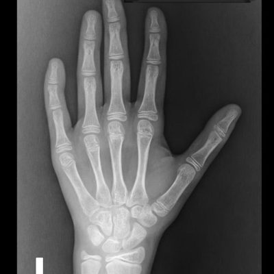 ۲۱۹a241a-90df-4e4c-bbb9-ffd2fd72f825