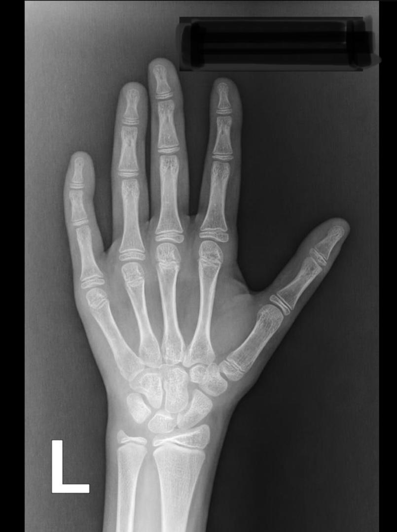 ۲۱۹a241a-90df-4e4c-bbb9-ffd2fd72f825