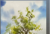 ۳۹۹۷۱۷۰_gallery_12