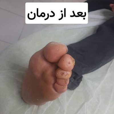 IMG_20250810_105557_179