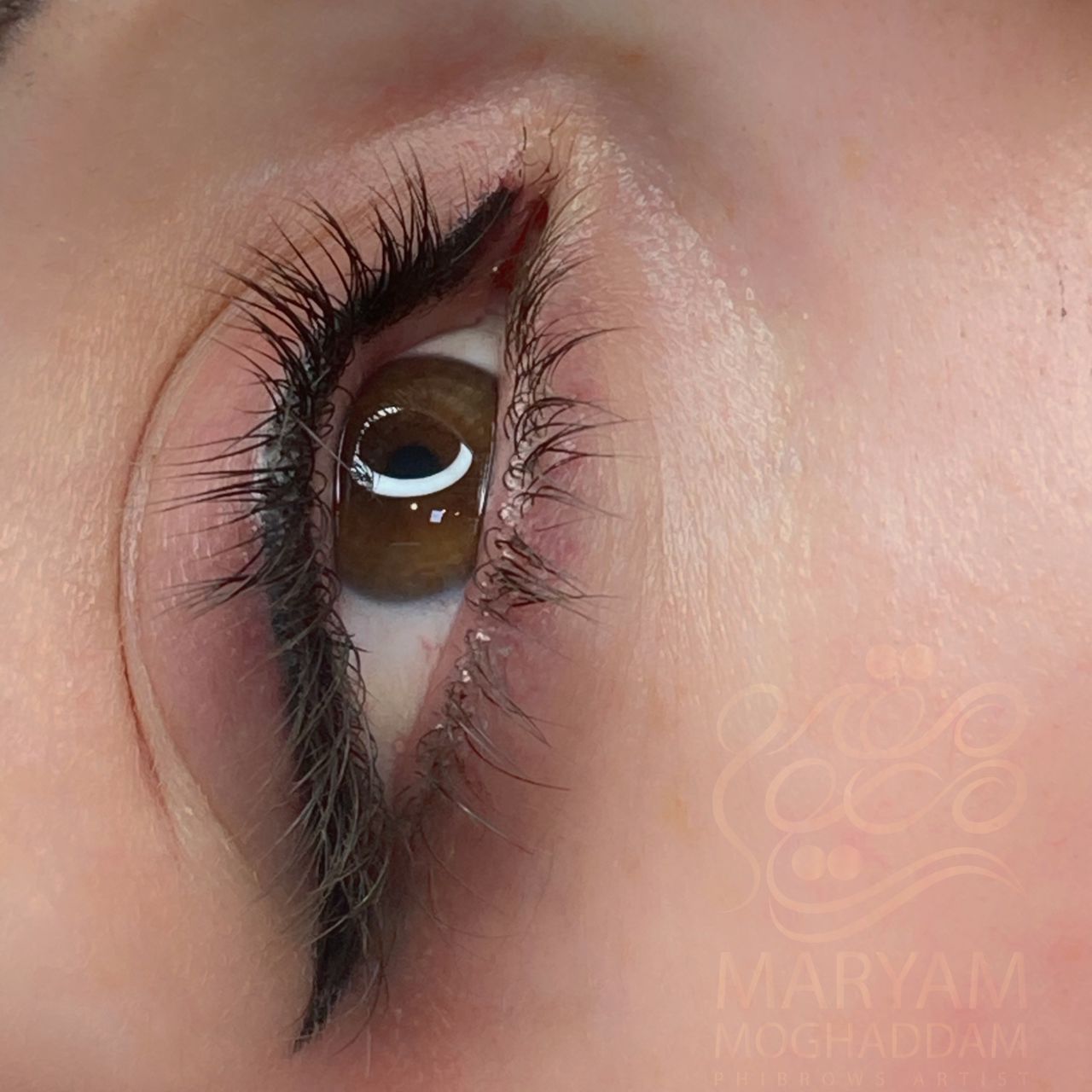 WhatsApp-Image-2025-08-16-at-16.41.47