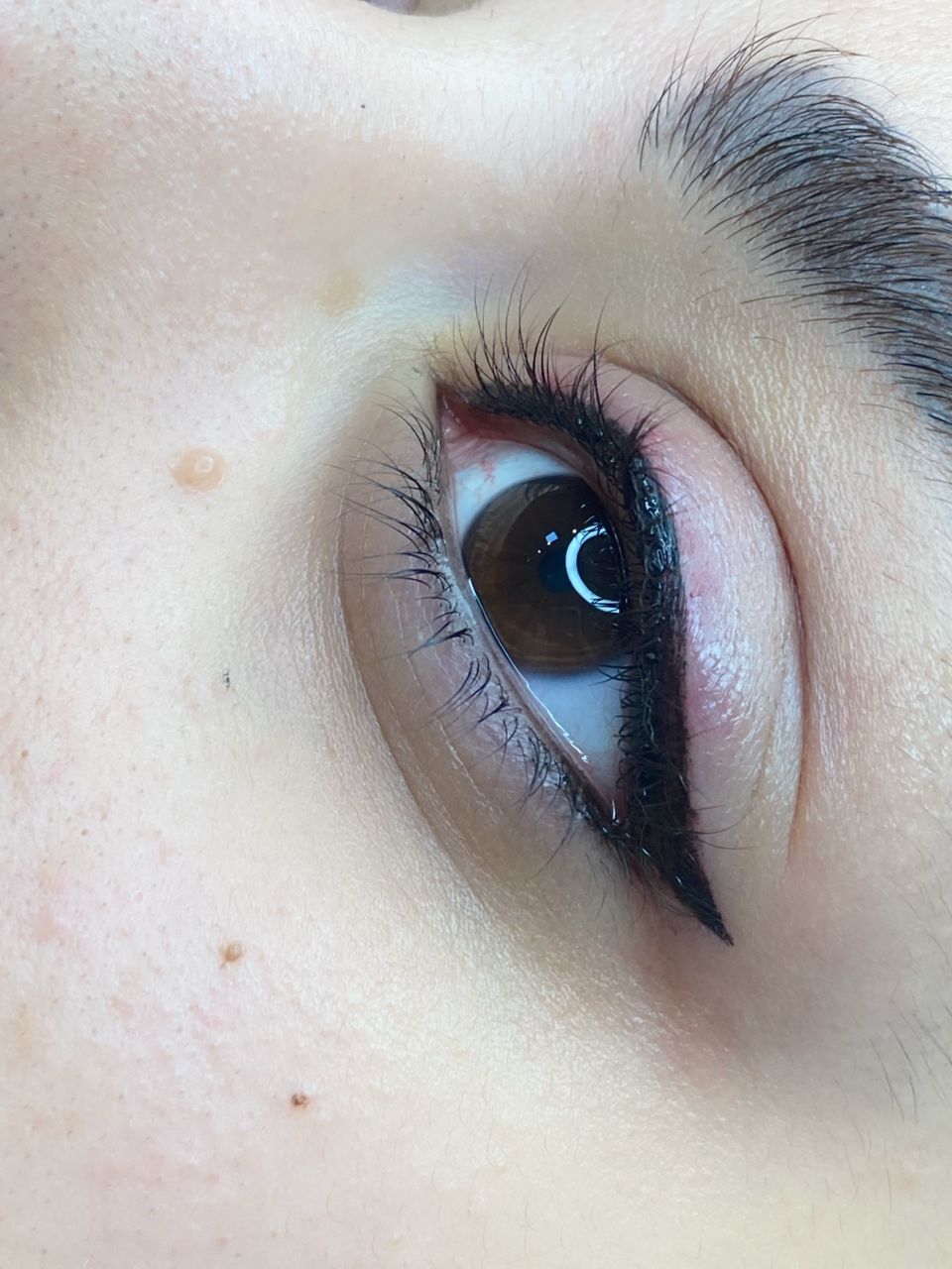 WhatsApp-Image-2025-08-16-at-16.41.49-1