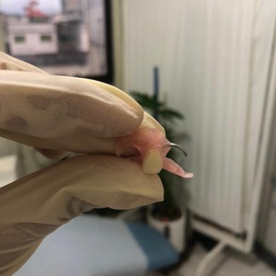 WhatsApp-Image-2025-10-08-at-02.48.54