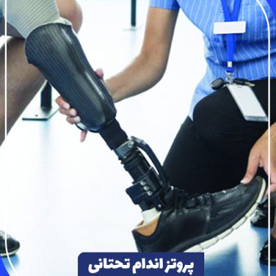 اندام-تحتانی-۵-min