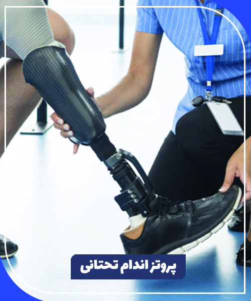 اندام-تحتانی-۵-min