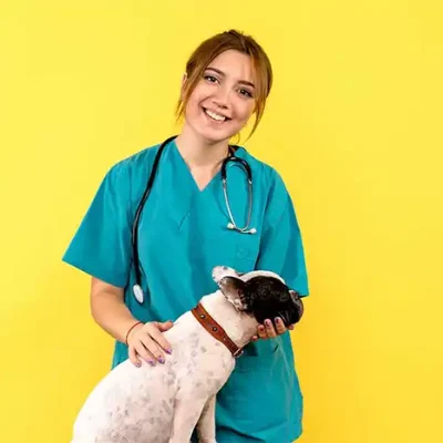 دامپزشکی-در-پردیس