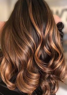 WhatsApp-Image-2025-12-01-at-11.31.42-AM-1