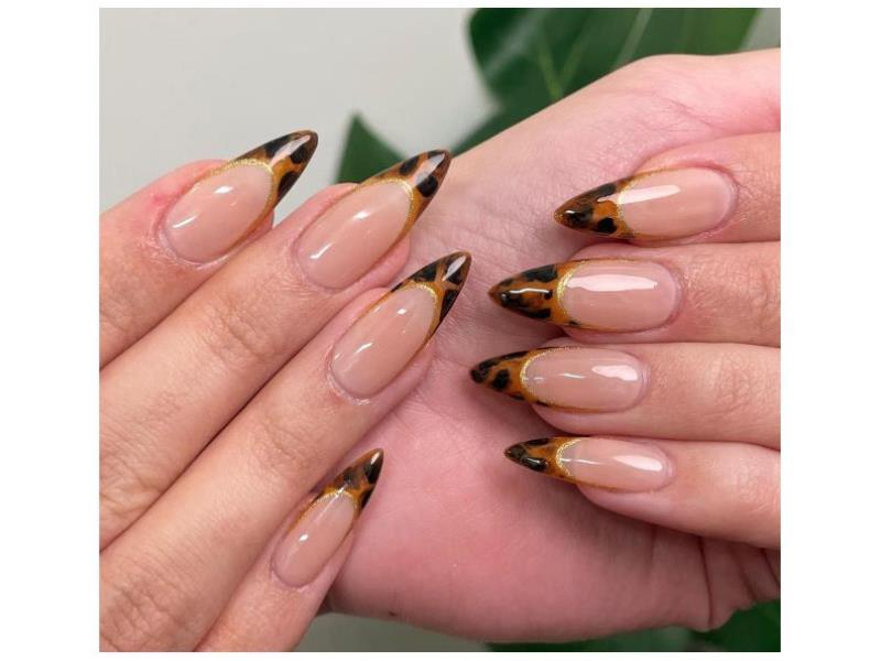 a226db2c06864915be115302fe447ee5-1